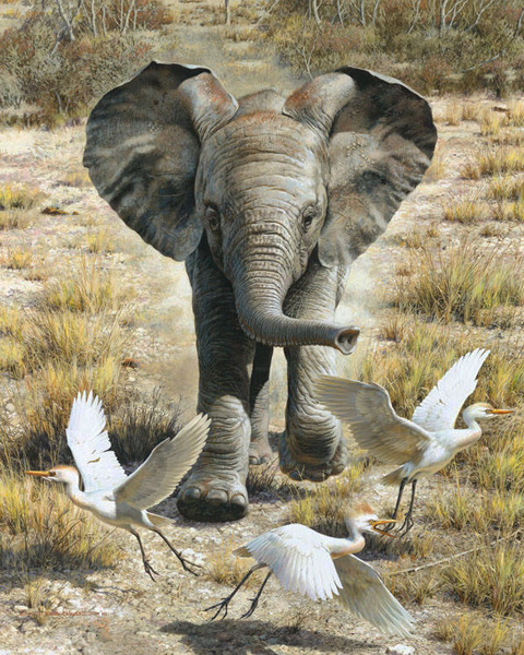 (image for) Handmade oil painting Copy paintings of famous artists Carl Brenders paintings Flushing Egrets-Elepha